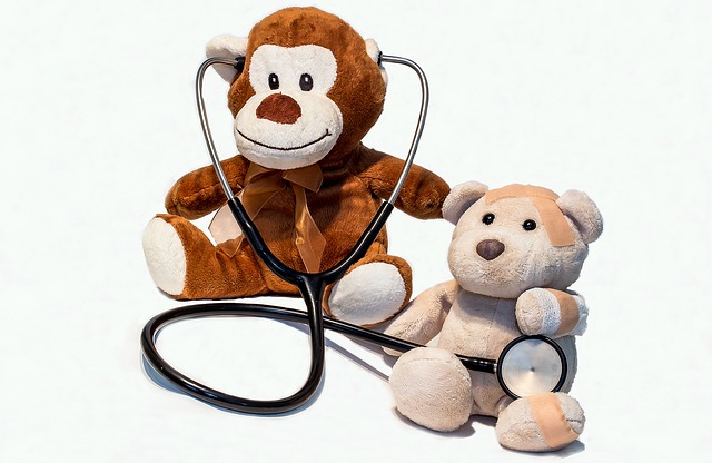 medvídci a stetoskop